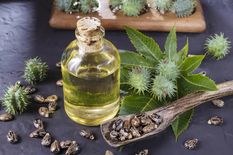 Glass bottle of castor oil with castor leaves, seed pods and castor seeds