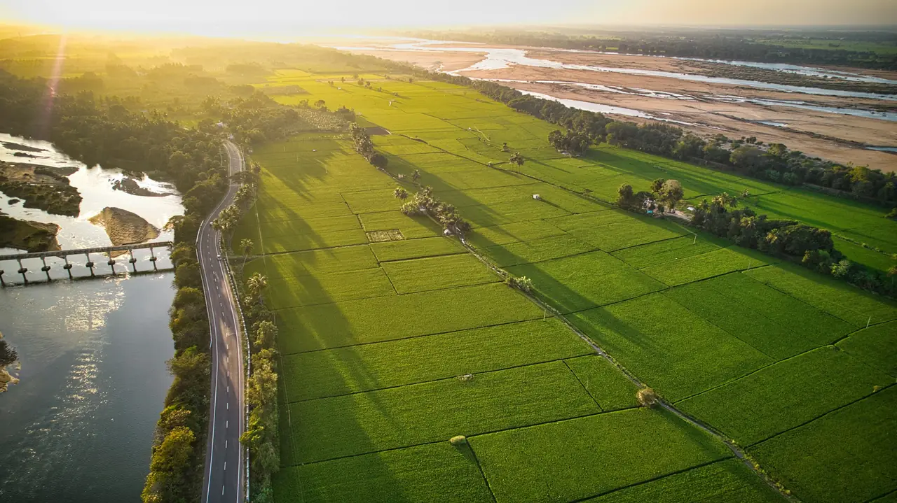 Aerial view of green farmland and a river at sunrise