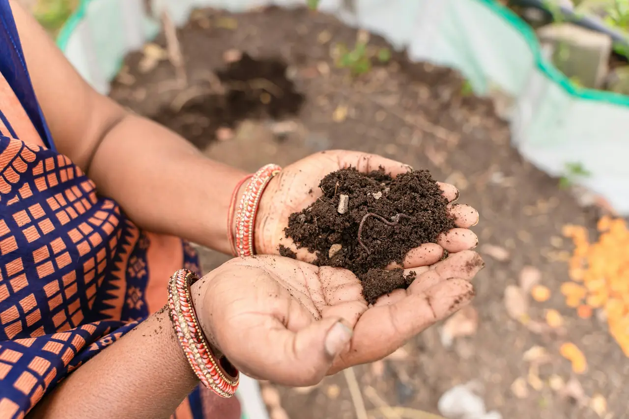 Cupped hands holding fresh soil above a planting bed