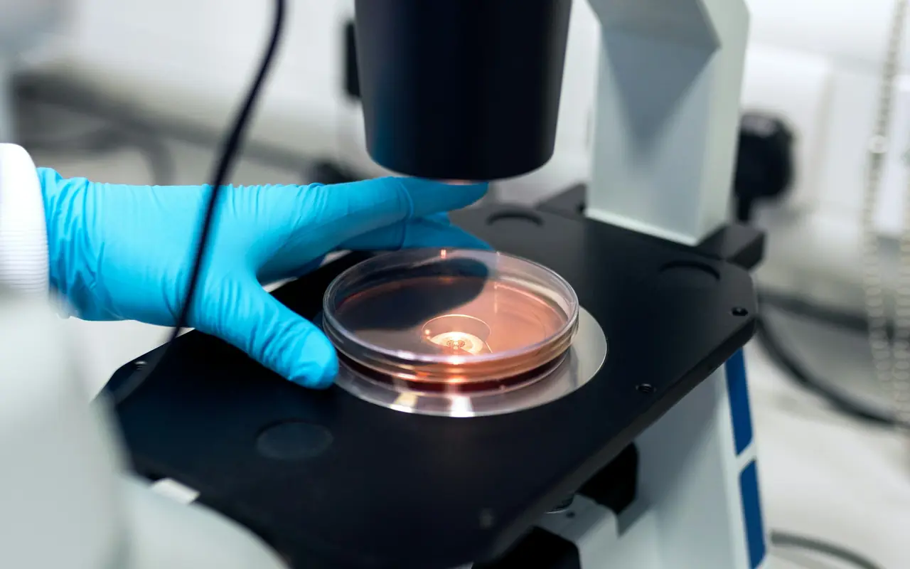 Gloved hand holding a sample dish beside a microscope during a laboratory quality inspection