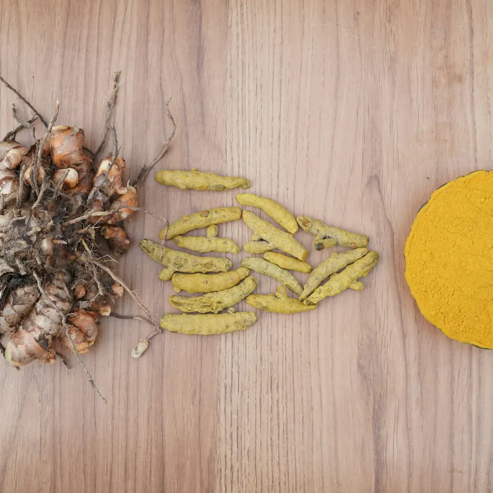 Fresh turmeric root, dried turmeric fingers and ground turmeric powder side by side